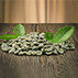 caf verde: uma nova estratgia  para emagrecer?