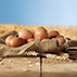 qual a diferena entre ovo de granja, caipira e orgnico?